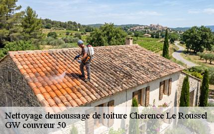 Nettoyage demoussage de toiture cherence-le-roussel-50520 GW couvreur 50