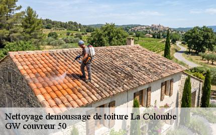 Nettoyage demoussage de toiture la-colombe-50800 GW couvreur 50