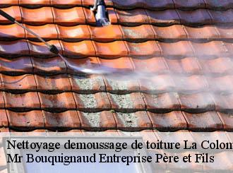Nettoyage demoussage de toiture la-colombe-50800 Mr Bouquignaud Entreprise Père et Fils
