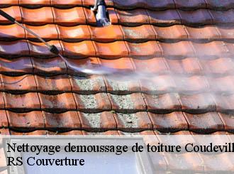 Nettoyage demoussage de toiture coudeville-sur-mer-50290 RS Couverture