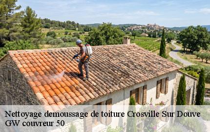 Nettoyage demoussage de toiture crosville-sur-douve-50360 GW couvreur 50