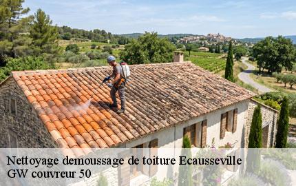 Nettoyage demoussage de toiture ecausseville-50310 GW couvreur 50