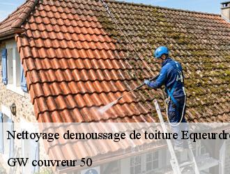 Nettoyage demoussage de toiture equeurdreville-hainneville-50120 GW couvreur 50