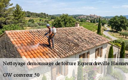 Nettoyage demoussage de toiture equeurdreville-hainneville-50120 GW couvreur 50