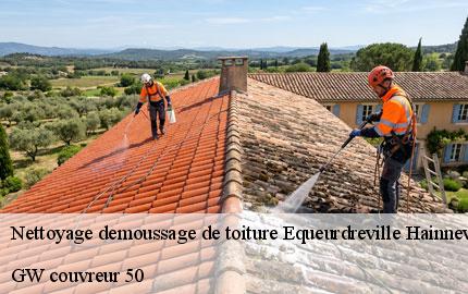 Nettoyage demoussage de toiture equeurdreville-hainneville-50120 GW couvreur 50