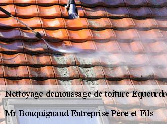 Nettoyage demoussage de toiture  equeurdreville-hainneville-50120 Mr Bouquignaud Entreprise Père et Fils