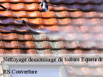 Nettoyage demoussage de toiture equeurdreville-hainneville-50120 RS Couverture