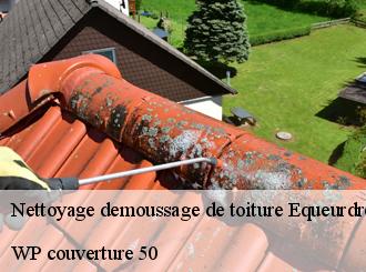Nettoyage demoussage de toiture  equeurdreville-hainneville-50120 WP couverture 50