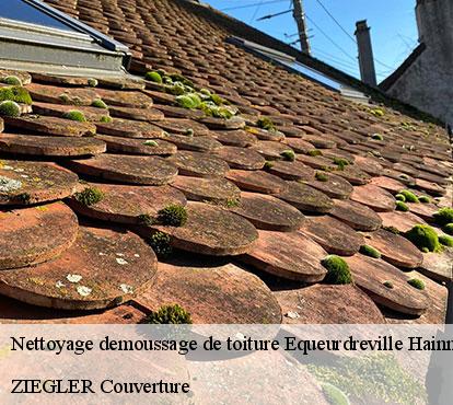 Nettoyage demoussage de toiture  equeurdreville-hainneville-50120 ZIEGLER Couverture