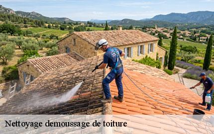 Nettoyage demoussage de toiture  la-feuillie-50190 GW couvreur 50