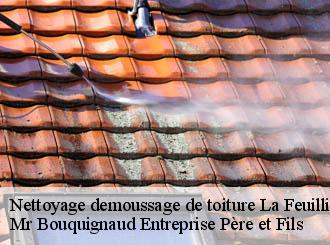 Nettoyage demoussage de toiture  la-feuillie-50190 Mr Bouquignaud Entreprise Père et Fils