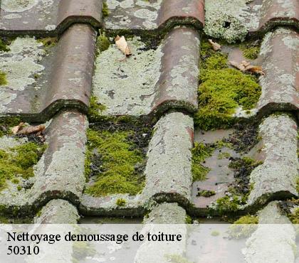 Nettoyage demoussage de toiture  50310