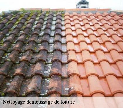 Nettoyage demoussage de toiture