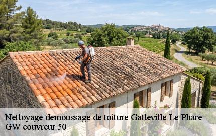 Nettoyage demoussage de toiture gatteville-le-phare-50760 GW couvreur 50