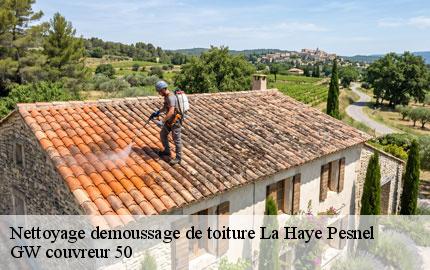 Nettoyage demoussage de toiture la-haye-pesnel-50320 GW couvreur 50