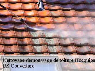 Nettoyage demoussage de toiture hocquigny-50320 RS Couverture