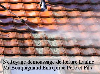 Nettoyage demoussage de toiture laulne-50430 Mr Bouquignaud Entreprise Père et Fils