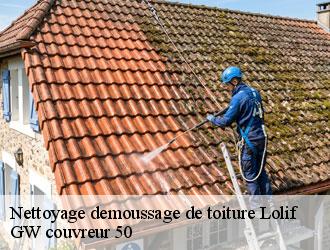 Nettoyage demoussage de toiture lolif-50530 GW couvreur 50
