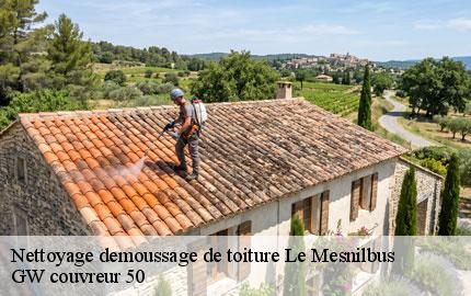 Nettoyage demoussage de toiture le-mesnilbus-50490 GW couvreur 50
