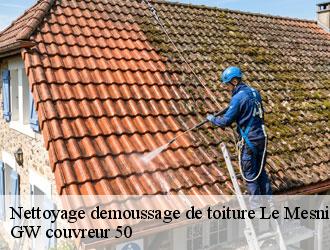 Nettoyage demoussage de toiture  le-mesnil-gilbert-50670 GW couvreur 50