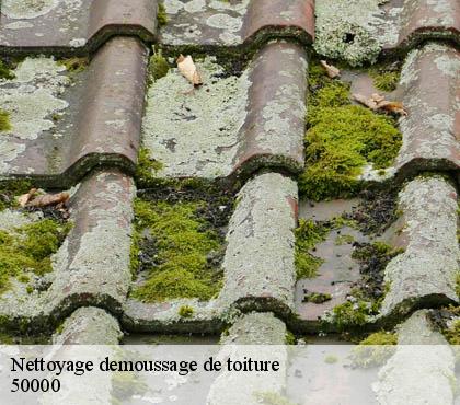 Nettoyage demoussage de toiture 50000
