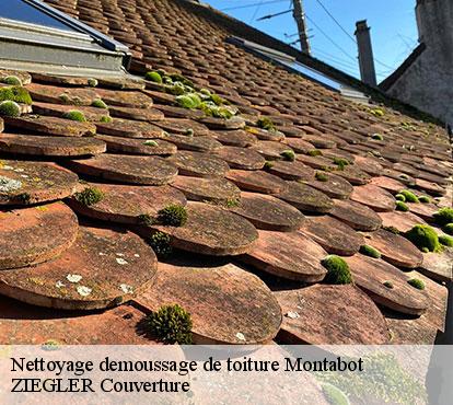 Nettoyage demoussage de toiture  montabot-50410 ZIEGLER Couverture 