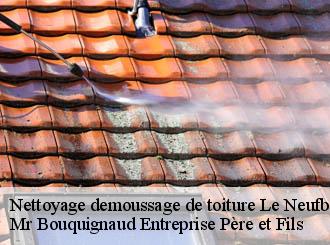 Nettoyage demoussage de toiture  le-neufbourg-50140 Mr Bouquignaud Entreprise Père et Fils