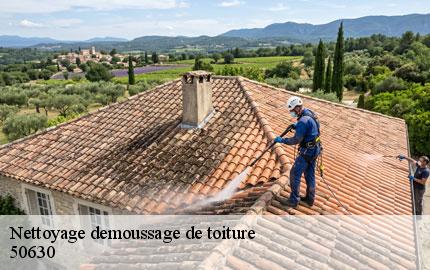 Nettoyage demoussage de toiture  octeville-l-avenel-50630 GW couvreur 50