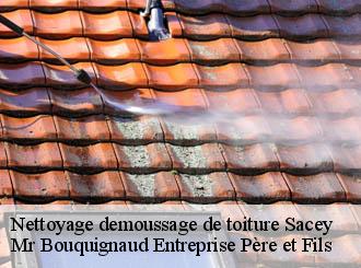 Nettoyage demoussage de toiture sacey-50170 Mr Bouquignaud Entreprise Père et Fils