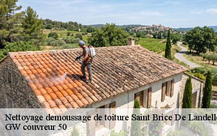 Nettoyage demoussage de toiture saint-brice-de-landelles-50730 GW couvreur 50