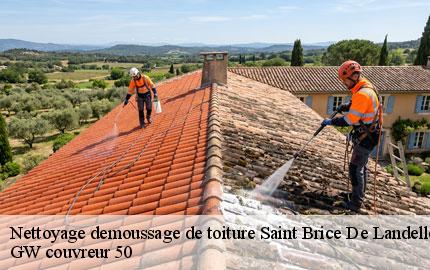 Nettoyage demoussage de toiture saint-brice-de-landelles-50730 GW couvreur 50