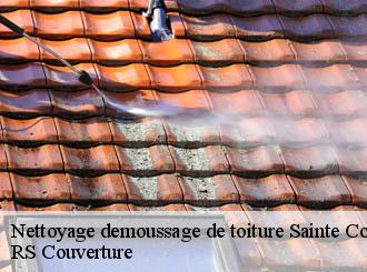 Nettoyage demoussage de toiture sainte-colombe-50390 Artisan Debard DM Habitat