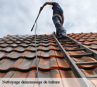 Nettoyage demoussage de toiture