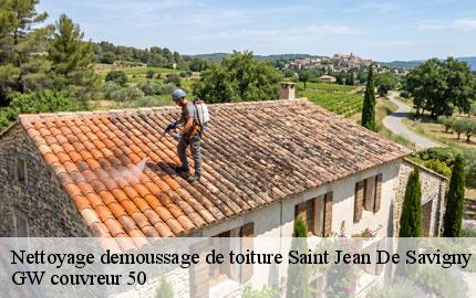 Nettoyage demoussage de toiture saint-jean-de-savigny-50680 GW couvreur 50