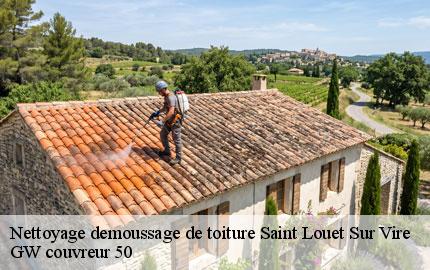 Nettoyage demoussage de toiture saint-louet-sur-vire-50420 GW couvreur 50