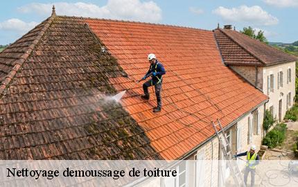 Nettoyage demoussage de toiture  saint-marcouf-50310 GW couvreur 50