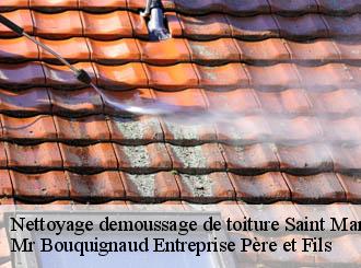 Nettoyage demoussage de toiture saint-martin-d-aubigny-50190 Mr Bouquignaud Entreprise Père et Fils