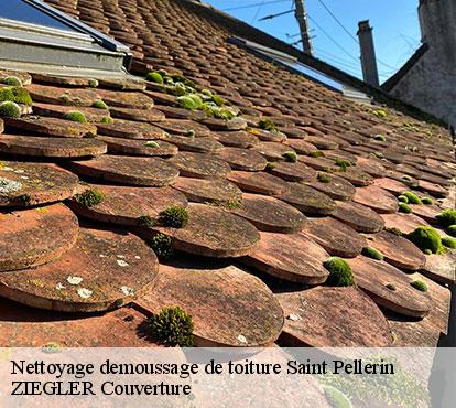 Nettoyage demoussage de toiture  saint-pellerin-50500 ZIEGLER Couverture