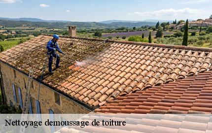 Nettoyage demoussage de toiture  sainte-suzanne-sur-vire-50750 GW couvreur 50