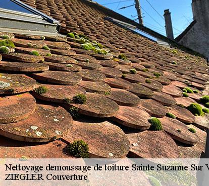Nettoyage demoussage de toiture  sainte-suzanne-sur-vire-50750 ZIEGLER Couverture