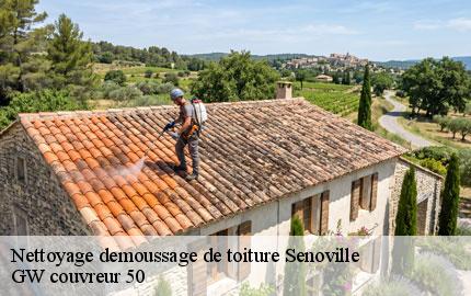 Nettoyage demoussage de toiture senoville-50270 GW couvreur 50