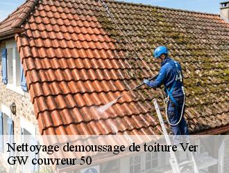 Nettoyage demoussage de toiture  ver-50450 GW couvreur 50