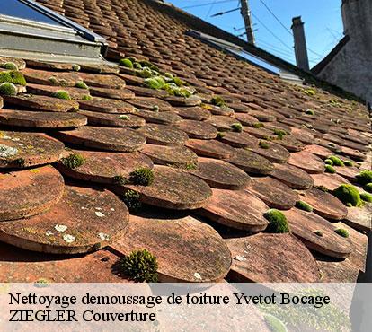 Nettoyage demoussage de toiture  yvetot-bocage-50700 ZIEGLER Couverture 