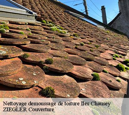 Nettoyage demoussage de toiture iles-chausey-50400 ZIEGLER Couverture
