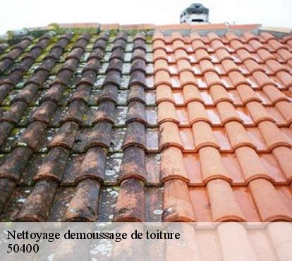 Nettoyage demoussage de toiture 50400