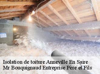 Isolation de toiture anneville-en-saire-50760 Mr Bouquignaud Entreprise Père et Fils