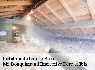 Isolation de toiture bion-50140 Mr Bouquignaud Entreprise Père et Fils