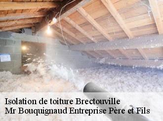 Isolation de toiture brectouville-50160 Mr Bouquignaud Entreprise Père et Fils