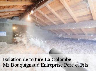 Isolation de toiture la-colombe-50800 Mr Bouquignaud Entreprise Père et Fils