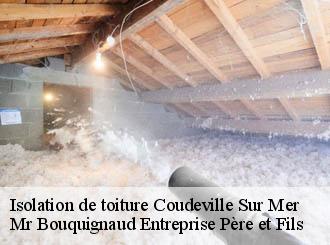 Isolation de toiture coudeville-sur-mer-50290 Mr Bouquignaud Entreprise Père et Fils